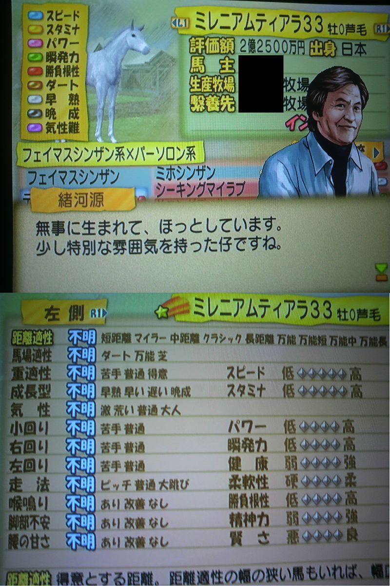 ウイニングポスト５ その2->画像>46枚 