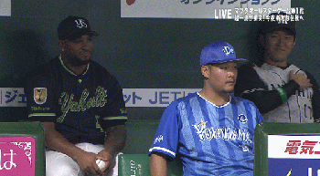 オールスター2016_52GIF.gif